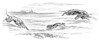 Caravan Hound India
